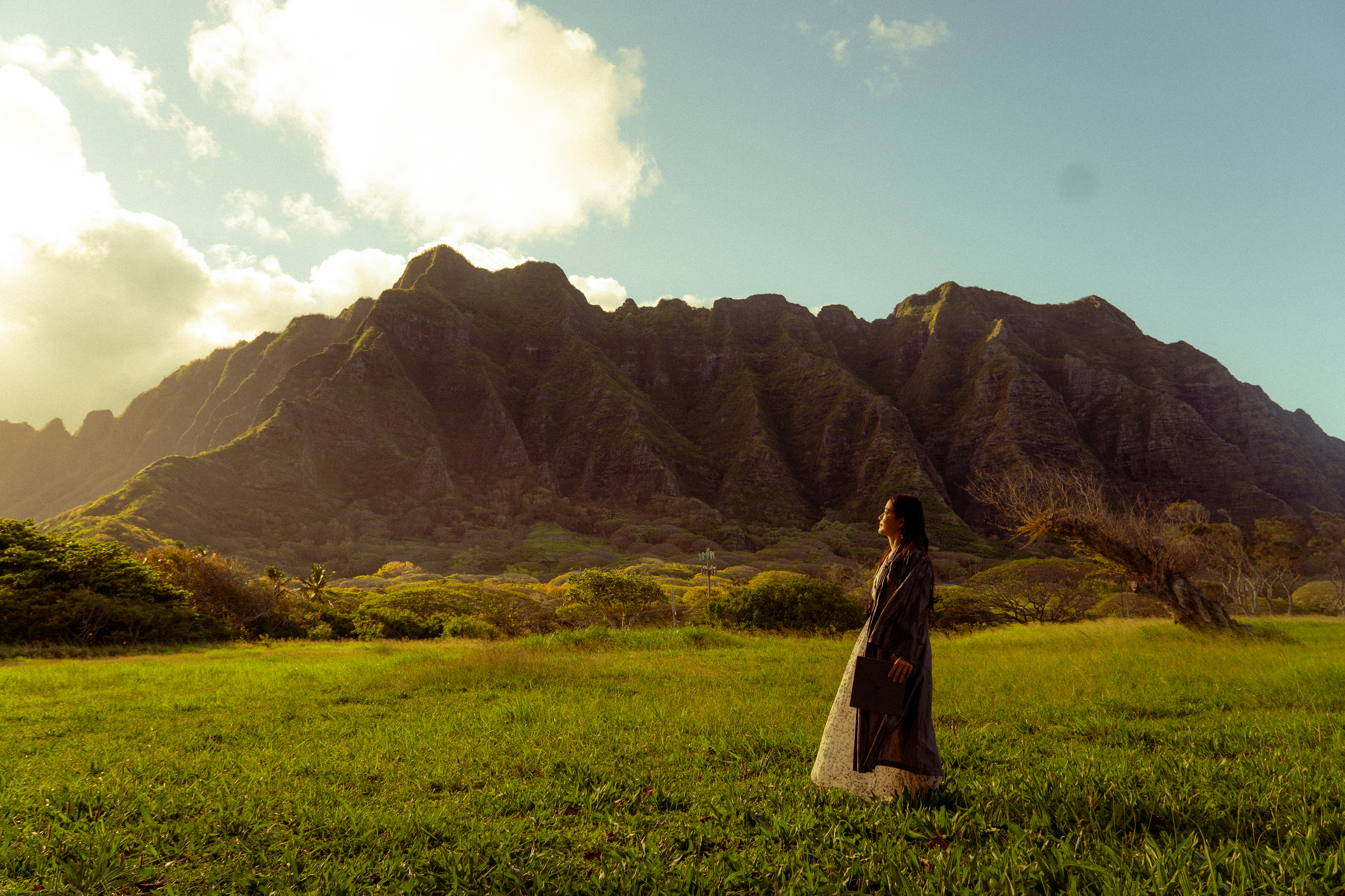 Coastal overlook — Landscape